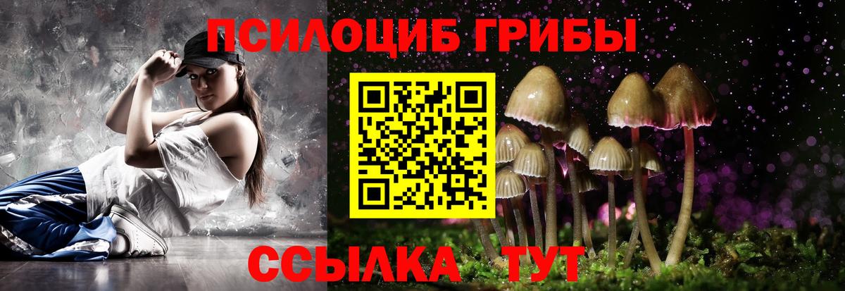 Магнитогорск  Галлюциногенные грибы прущие грибы  Вход с VPN 