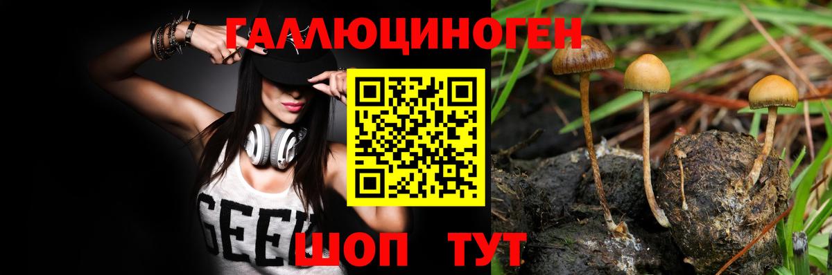 Галлюциногенные грибы Cubensis Магнитогорск